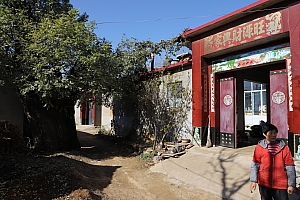 峪门村:马头山下栓马槐